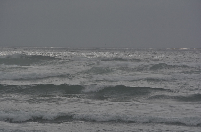 closeup of the water